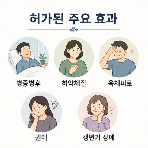 경옥고의 허가된 주요 효과인 병중병후, 허약체질, 육체피로, 권태, 갱년기 장애를 다섯 가지 항목으로 정리한 그림