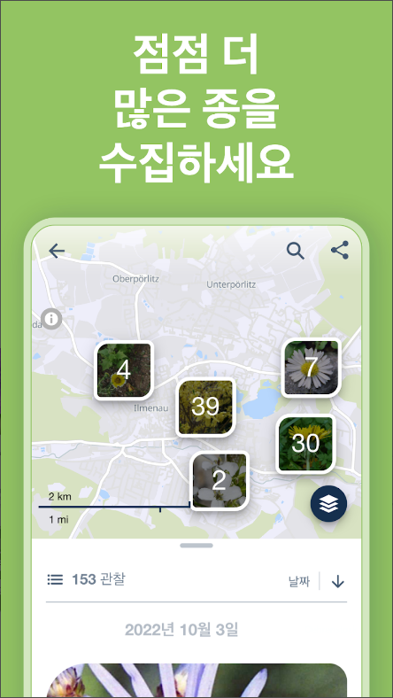 꽃 이름 찾기 어플(Flora Incognita), 꽃의 사진을 찍어 꽃의 이름 알아보기