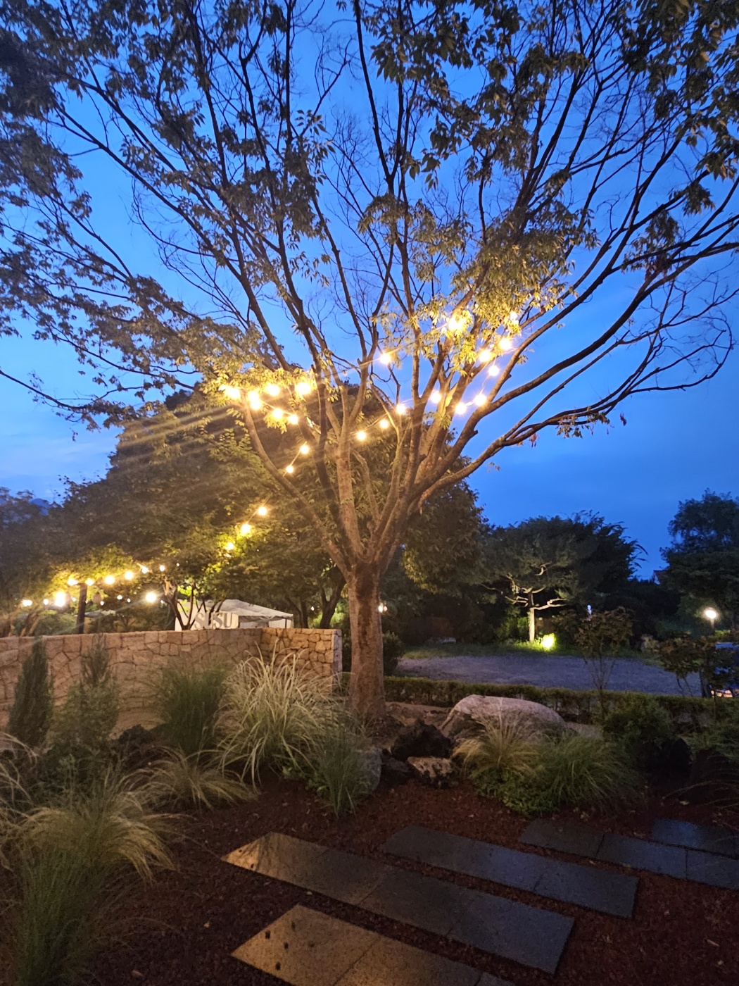 양평 양서면 양수리 두물머리 수수카페