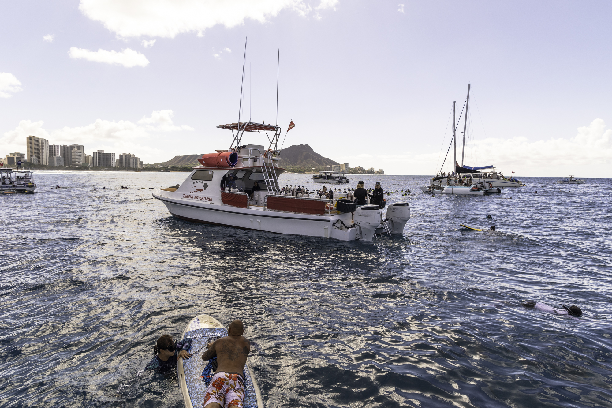 하와이 거북이 스노쿨링