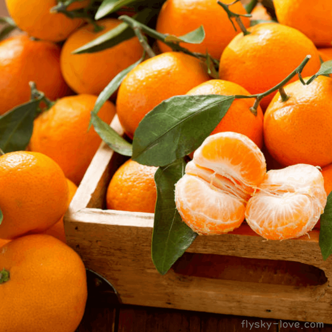 만다린 (mandarin) 효능