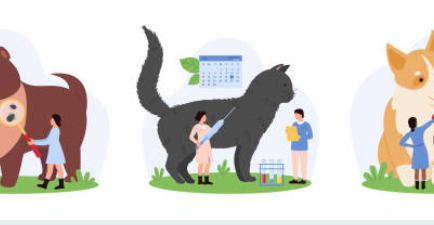 강아지 생명