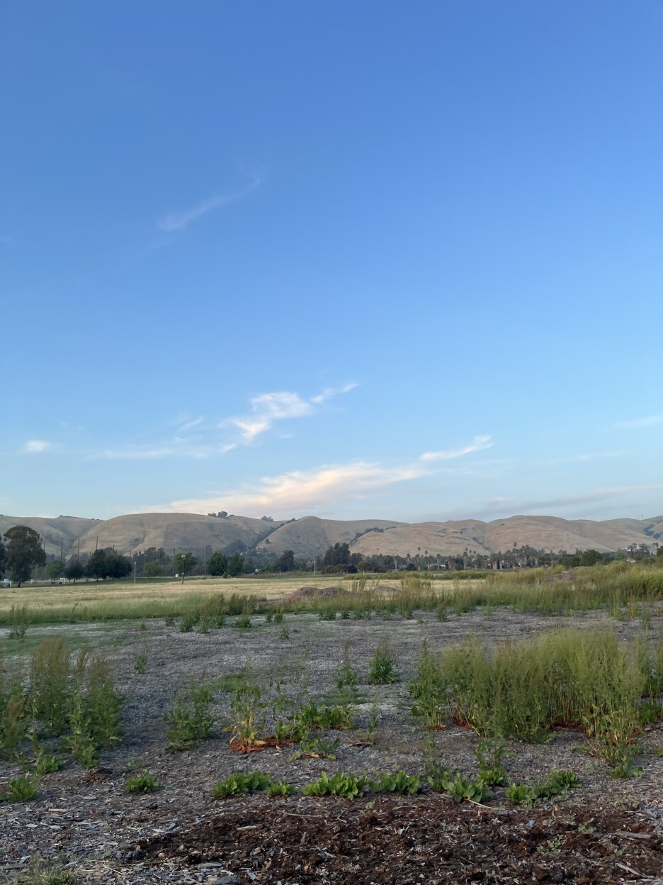 Lake Elizabeth, Fremont