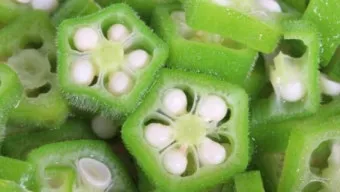 오크라 효능 재배법 손질 수확 요리 보관까지 한눈에 보기_11