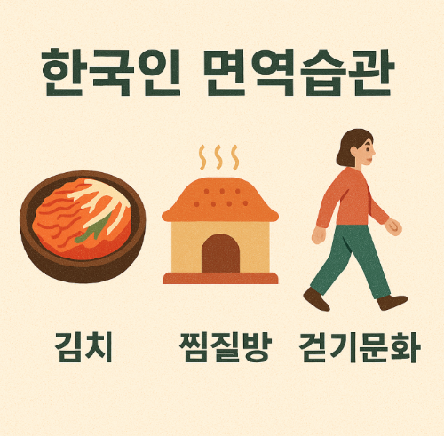한국인 면역습관 (김치, 찜질방, 걷기문화)
