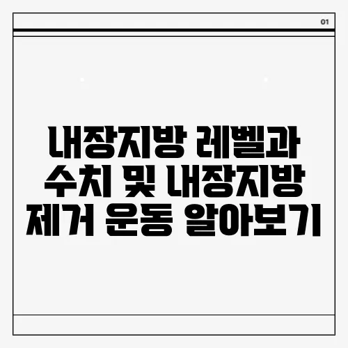 내장지방 레벨과 수치 및 내장지방 제거 운동 알아보기