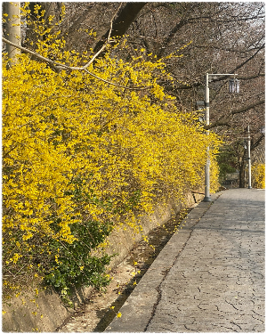 북산