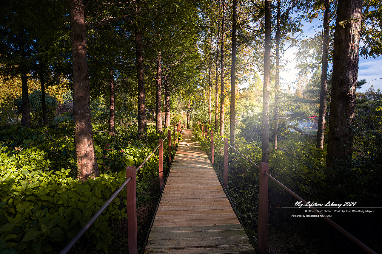 태안 청산수목원 가을