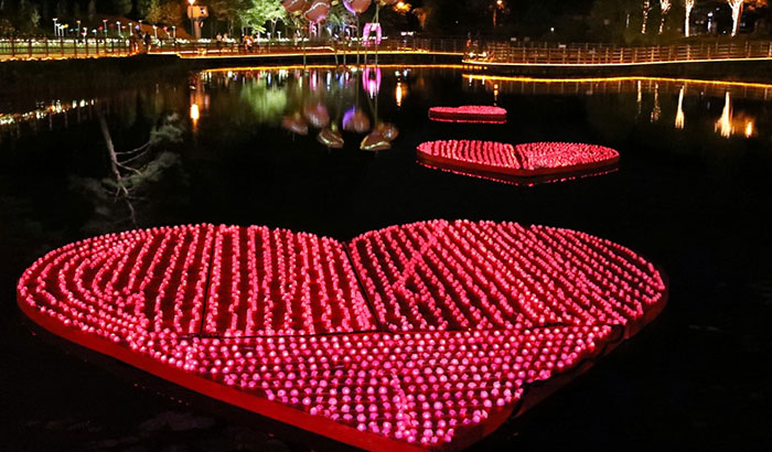 장미축제 야간 조명