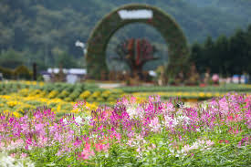 9월 꽃 축제 하는 곳