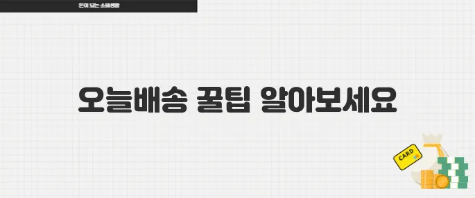 오늘배송 이용 꿀팁 다이소와 주요 쇼핑몰 빠른 배송 총정리