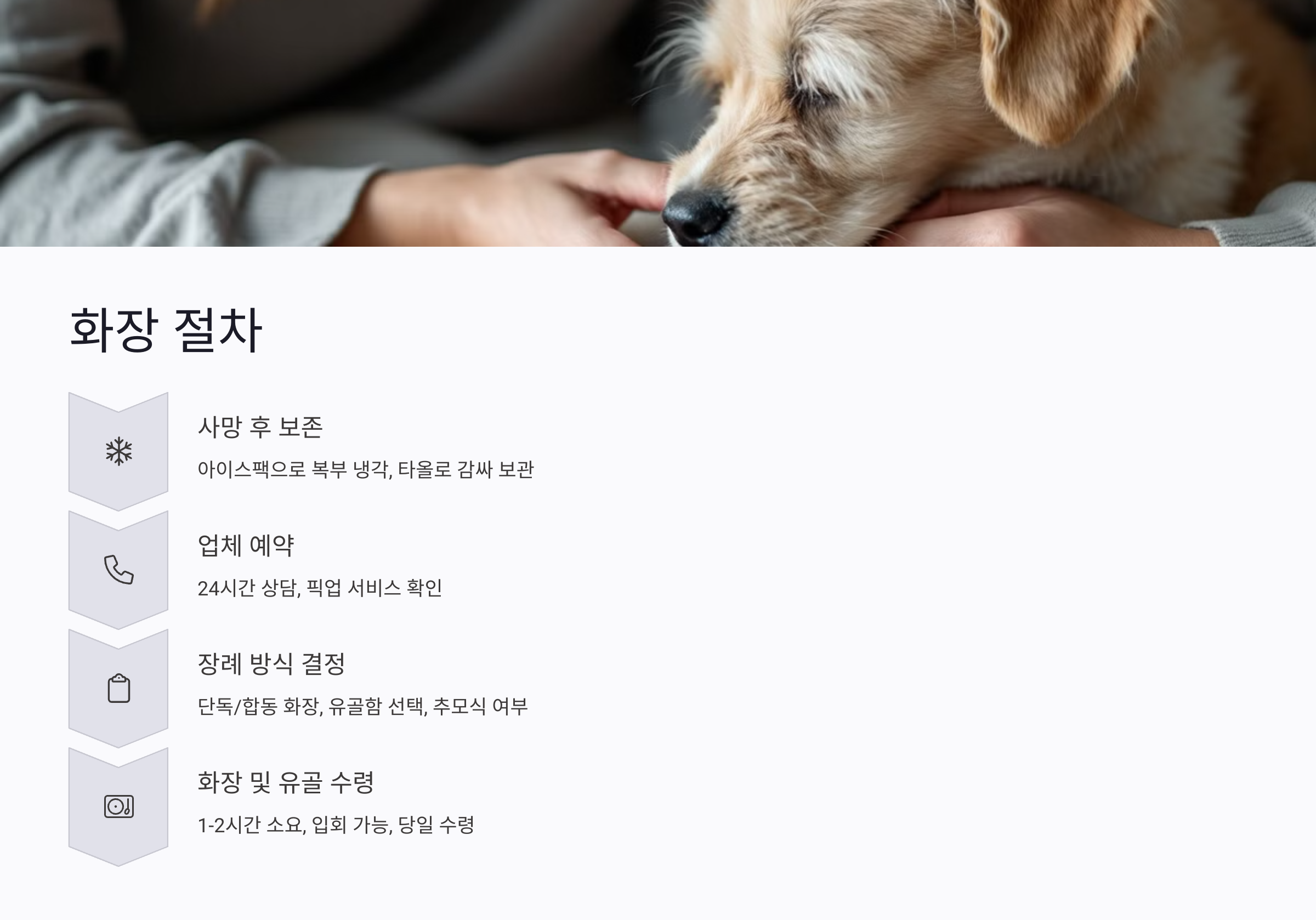 반려동물 화장 절차, 어떻게 진행되나요?