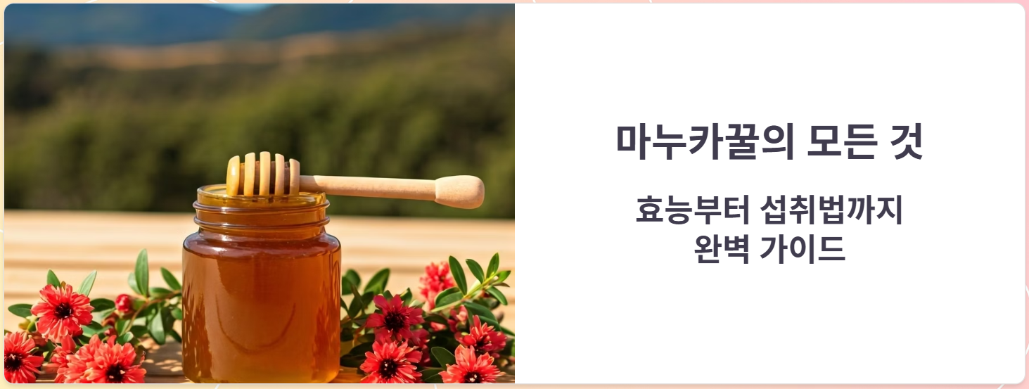 마누카꿀 가격, 효능, 먹는방법, 부작용, 총정리!