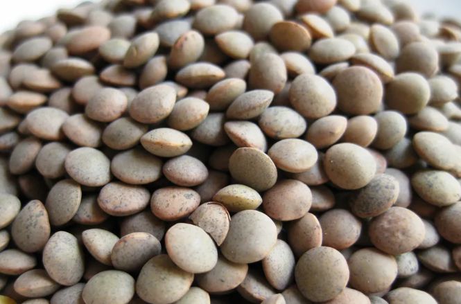 저속노화식단_레시피