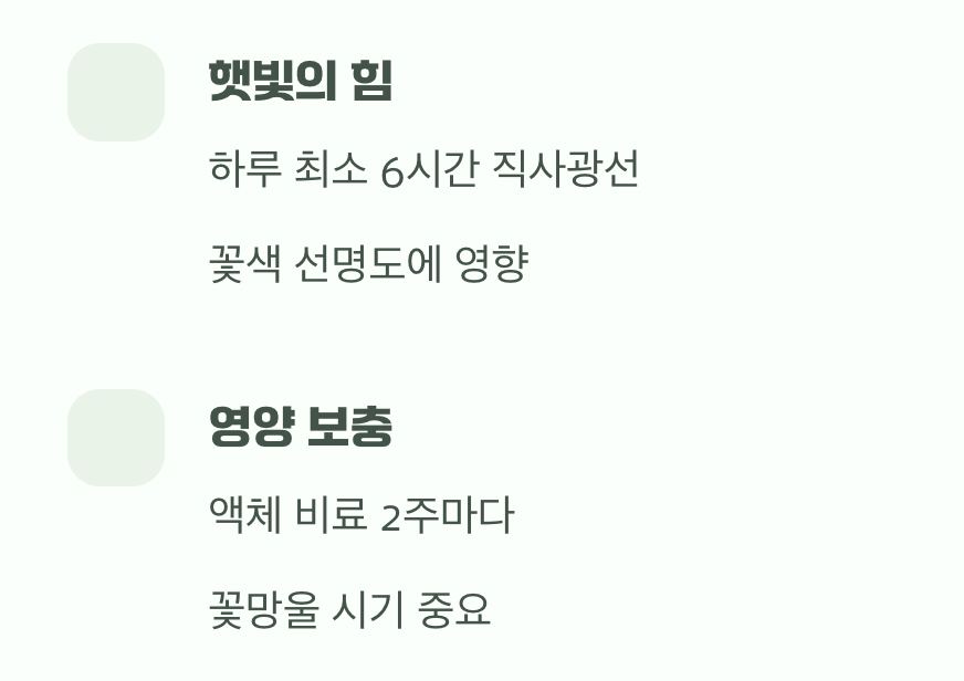 꽃대를 올리는 비결, 햇빛과 영양