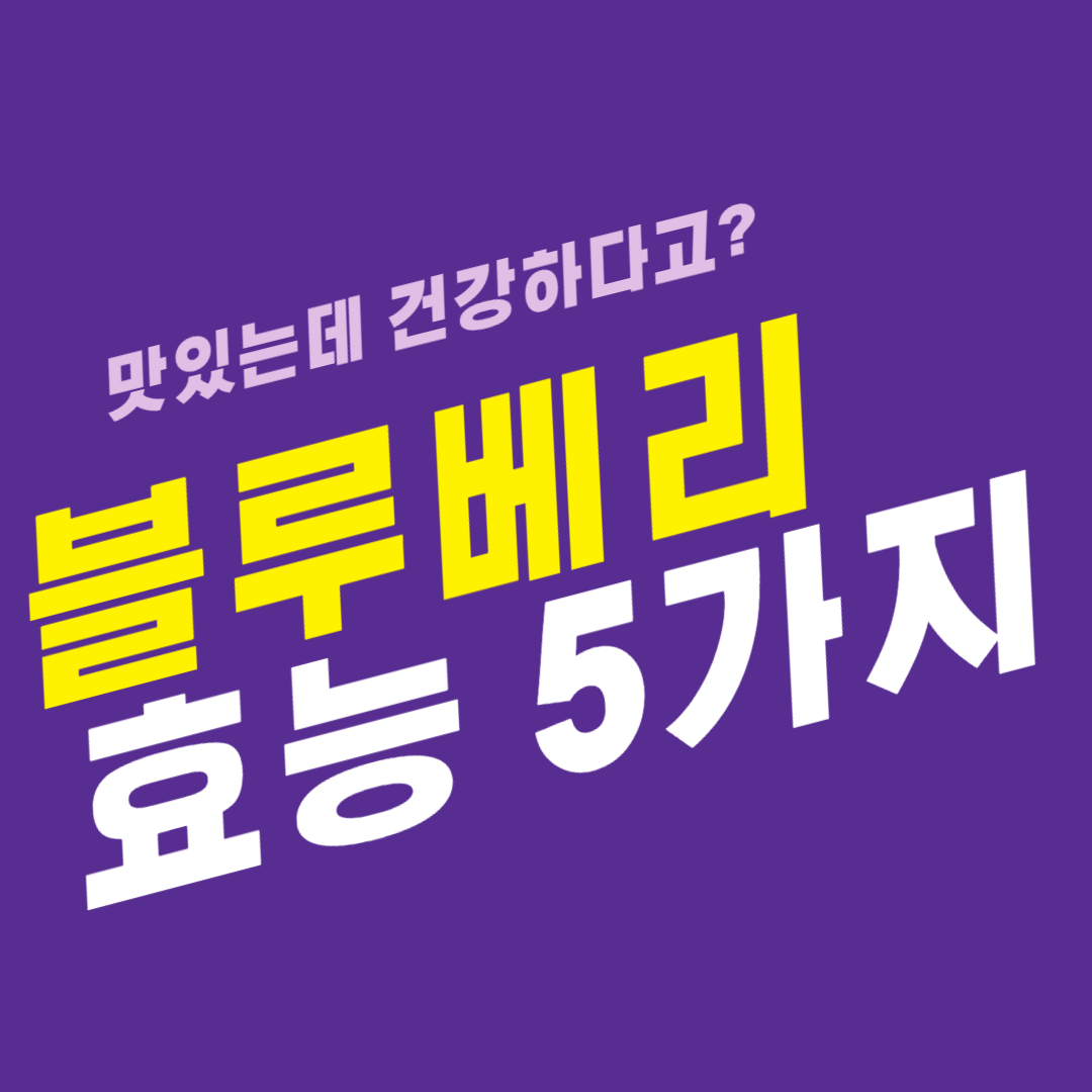 블루베리 효능 5가지(면역력 관리 , 면역력 높이는 과일 , 건강하고 맛있다 )