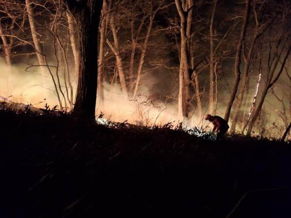 소방당국의 대응