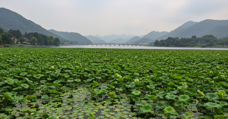 남양주 두물머리