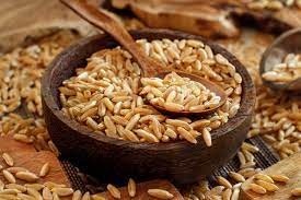 카무트 효소 효능 6가지 부작용 먹는법 호라산 밀