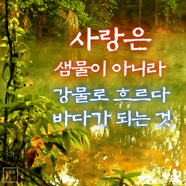 자연 풍경 속 연못 배경에 사랑 문구가 적힌 감성적인 글귀 이미지