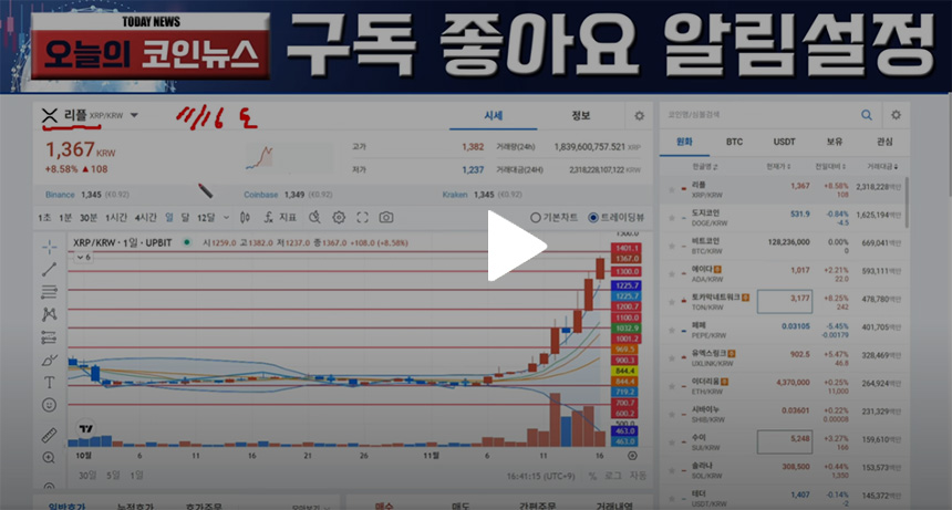리플-시세-전망