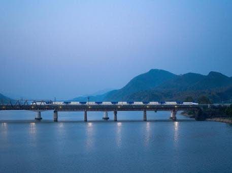 반려동물과 함께하는 대중교통