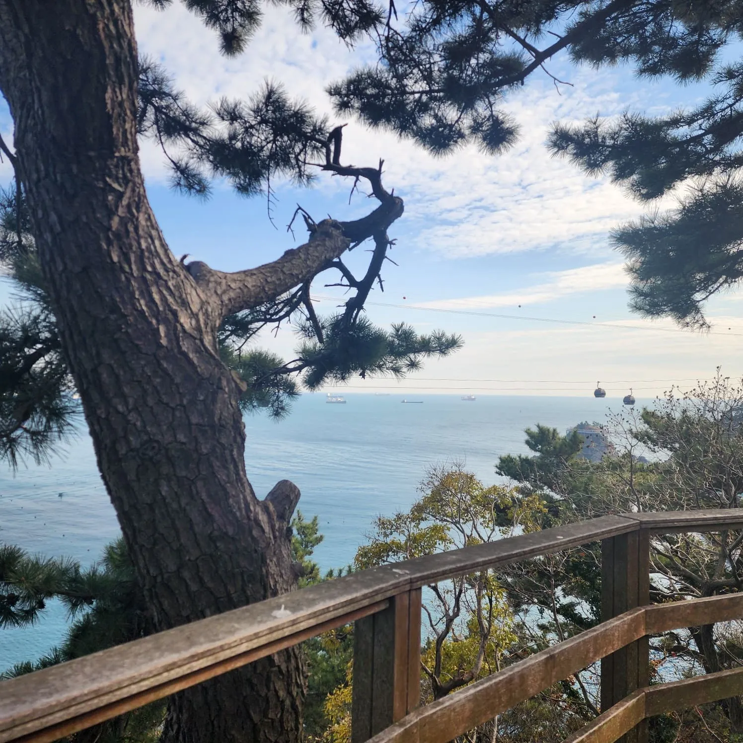 부산 송도 용궁구름다리와 숙이네