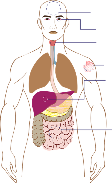 코로나 19 잠복기간