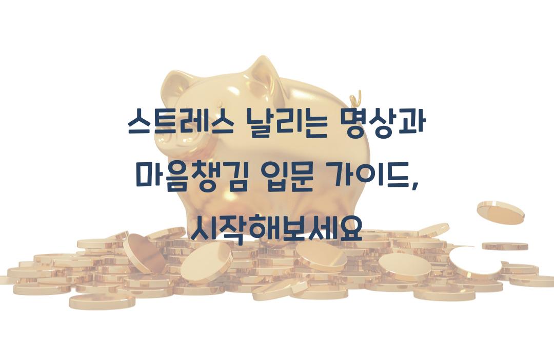 스트레스 날리는 명상과 마음챙김 입문 가이드