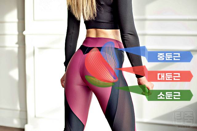 허리통증 없애는 방법 둔근 장요근 꼬리뼈통증 스트레칭