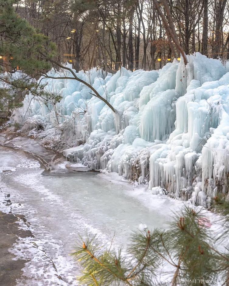 겨울 가족 여행
