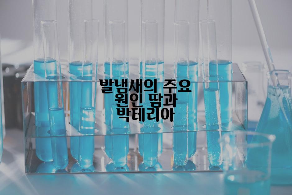 발냄새의 주요 원인 땀과 박테리아