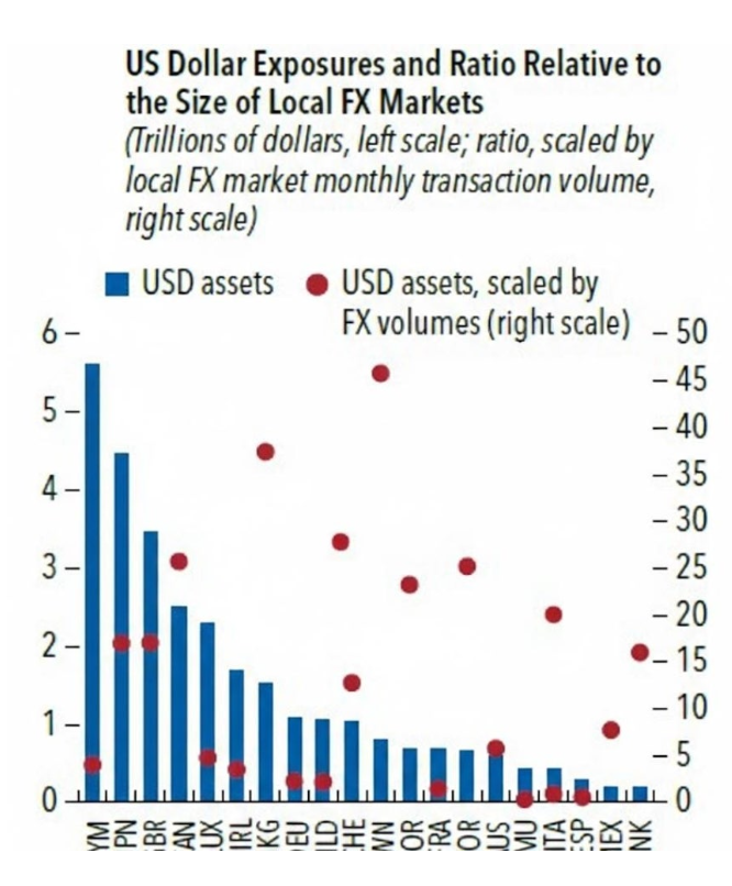환노출 달러자산 및 외환시장 대비 배율(빨간점)