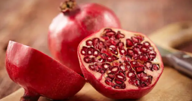 10월 제철 해산물, 10월 제철과일