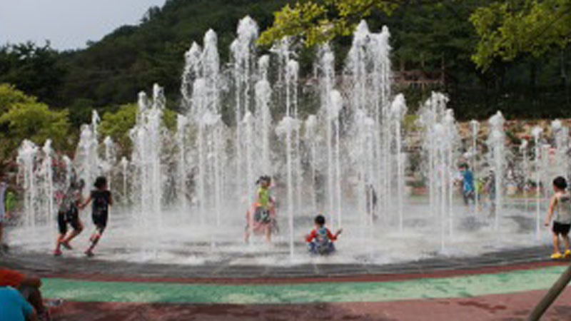 삼척 장미축제