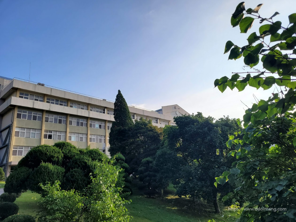 북일고 교정 풍경
