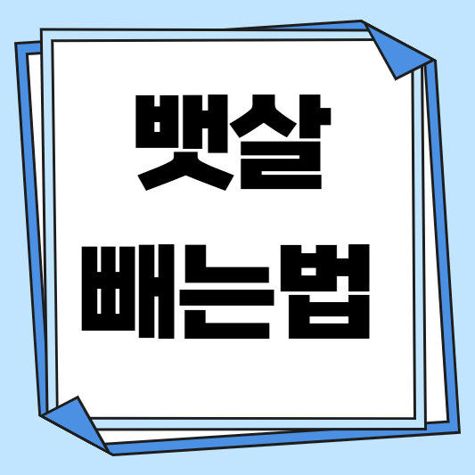 복부지방빼는법