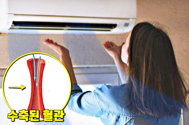 에어컨, 폭염, 심장 돌연사, 여름, 건강, 팁줌마 매일꿀정보