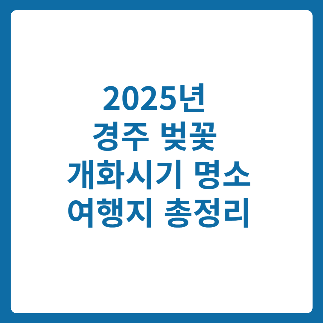 2025년 경주 벚꽃 개화시기 명소 여행지 총정리