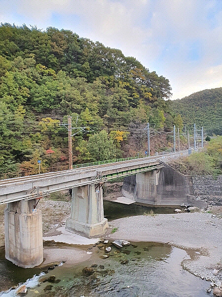 강원도 오십천 도보 여행