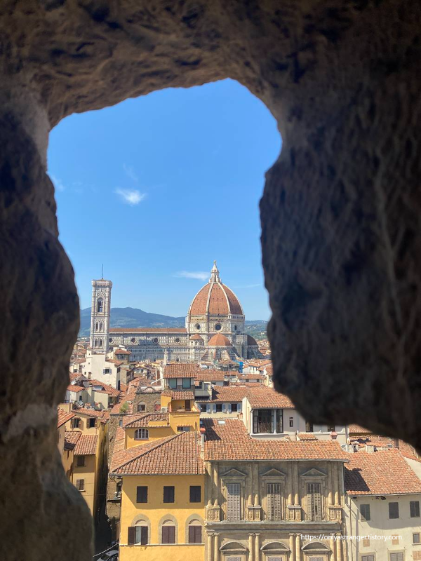 중간 전망대에서 본 두오모