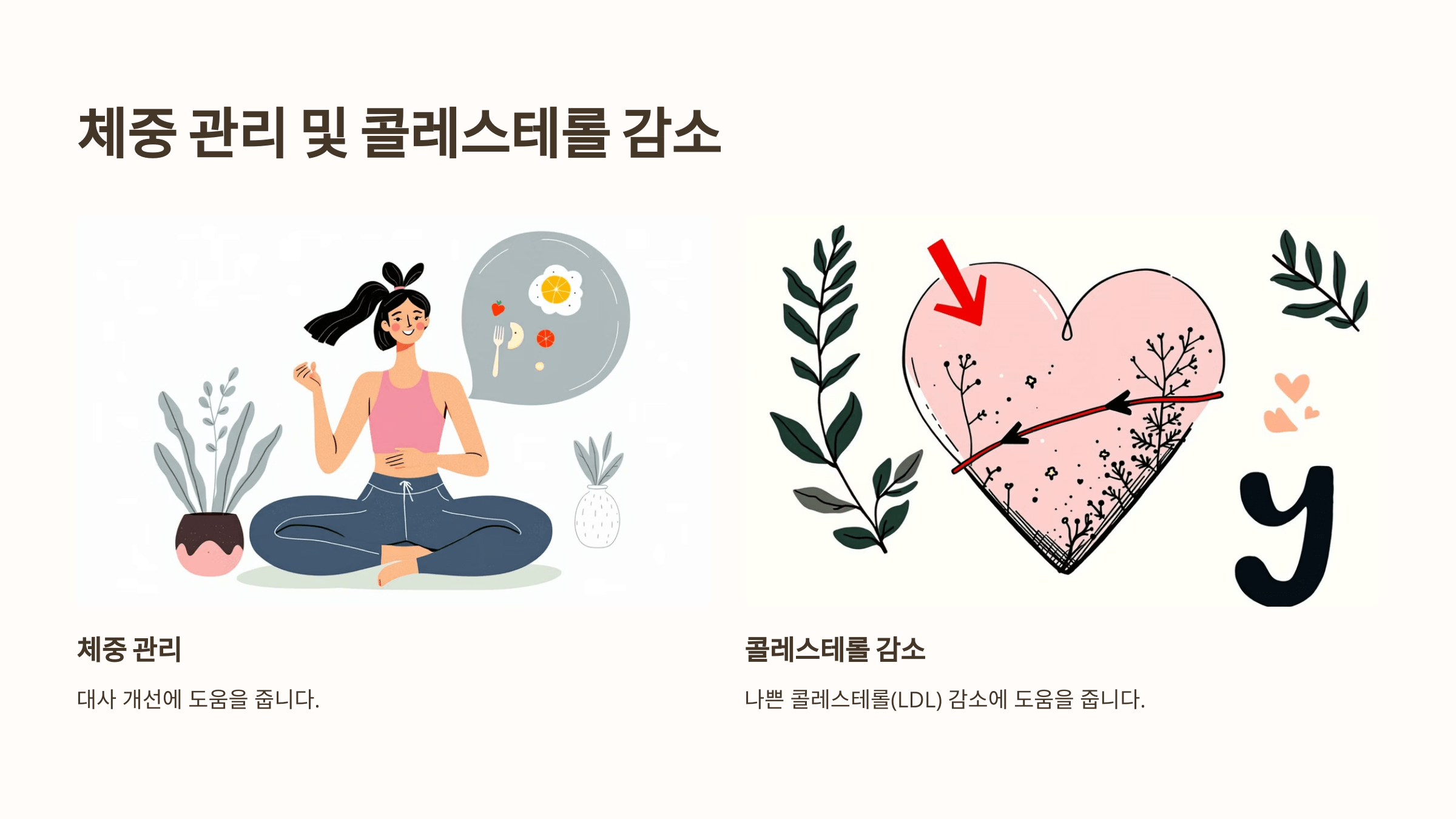 홍화씨 사진입니다.