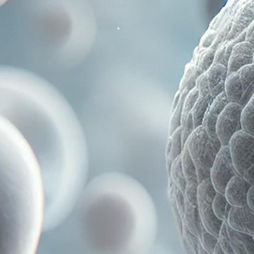 백혈구 수치가 낮으면 나타나는 증상