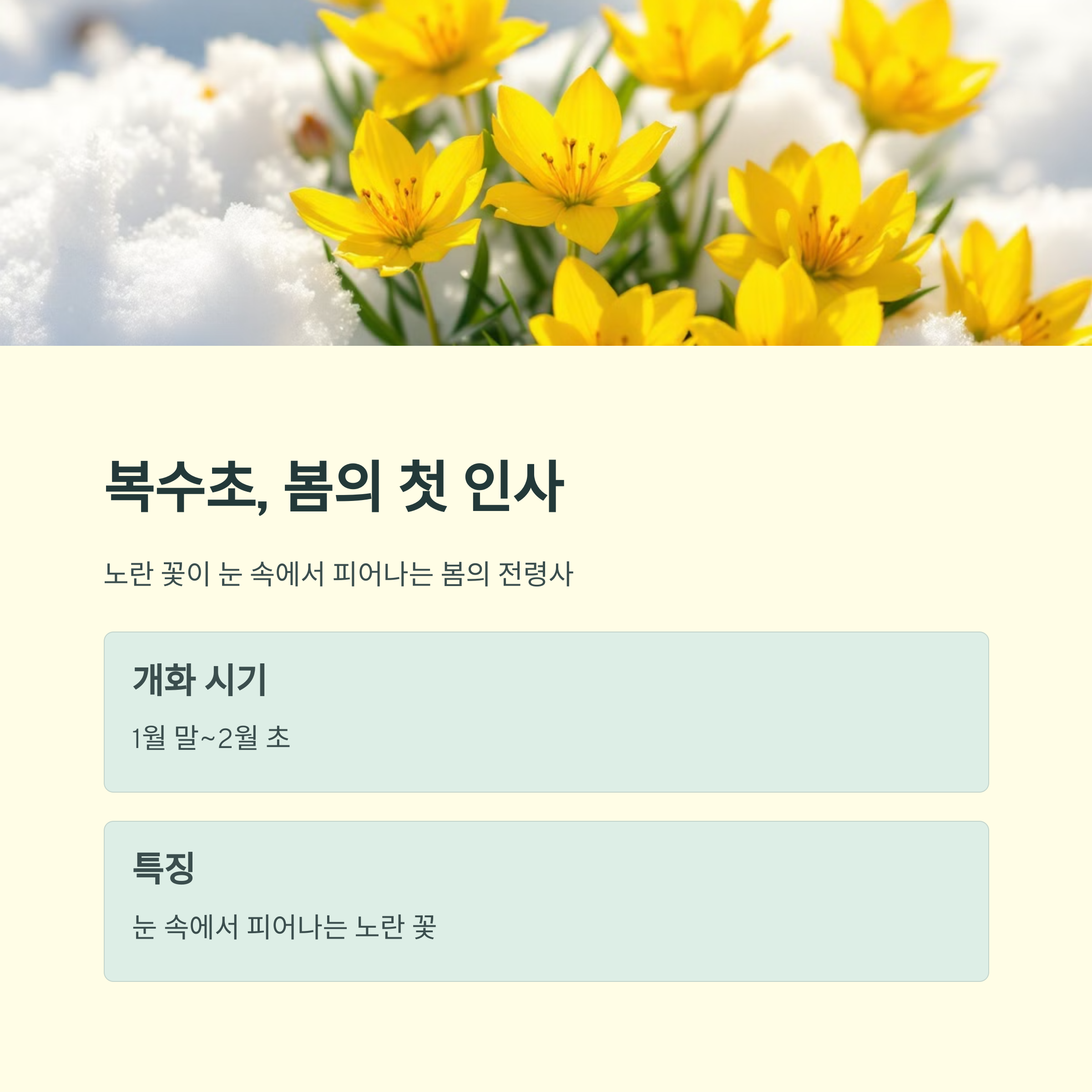 인천대공원 봄나들이