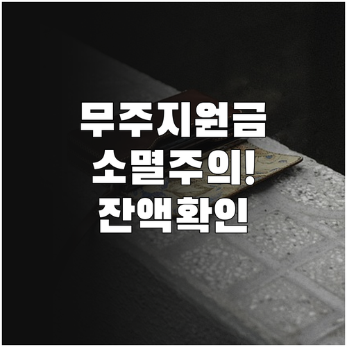 무주군 기본소득 지원금 소멸 방지법과..