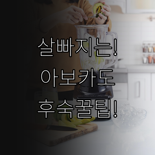 아보카도 샌드위치 다이어트 효과 및 ..