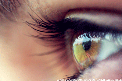 눈건강에 좋은 식품 7가지