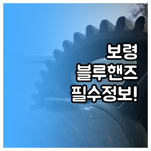 보령 현대자동차 블루핸즈 주소 연락처..