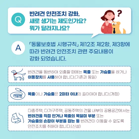 반려동물행동지도사 국가자격증 맹견 사육허가제 도입 알아봅니다