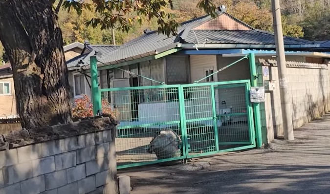 [강원도 농가주택 매매, 시골집/촌집] 원주시 행구동/문막읍 후용리, 횡성군 둔내면/공근면 학담리, 정선군 정선읍 광하리